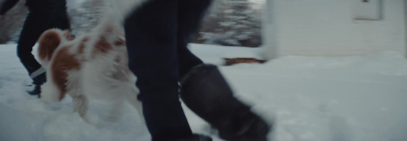 Two people running with a dog in the snow with trees in the background