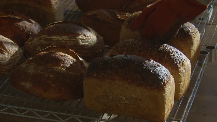 Loaves of bread on a wire rack