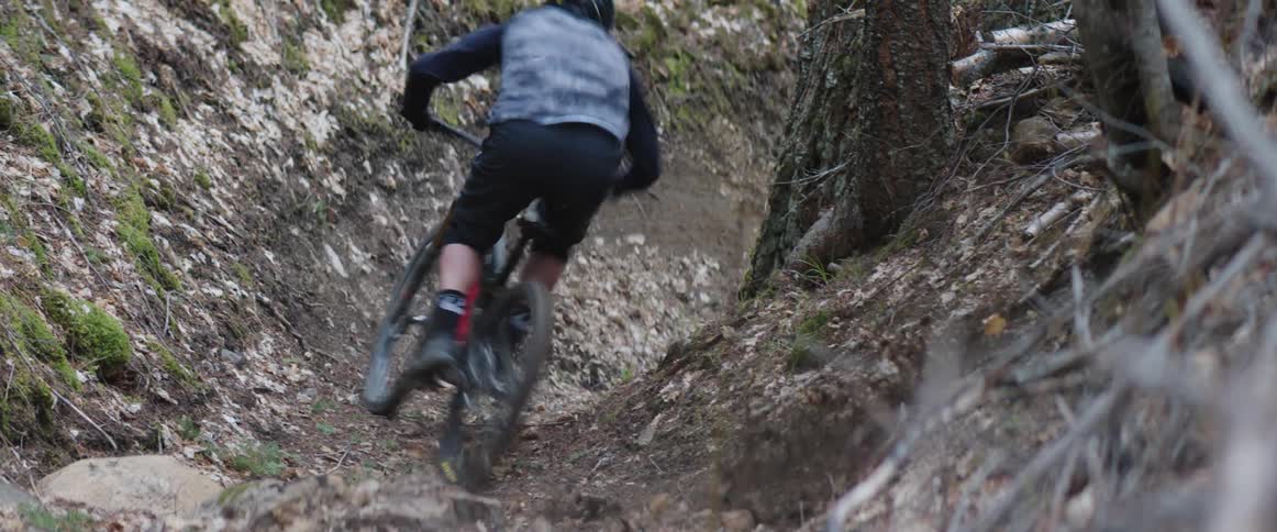 Cyclist rides a mountain bicycle on a dirt trail through the forest
