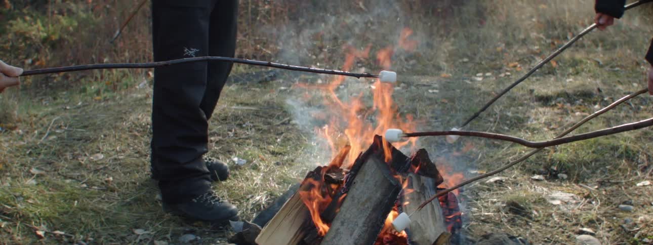 Group of friends roasting marshmallows over a campfire