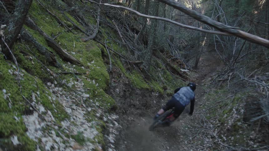A person mountain bikes rapidly through a forest ravine