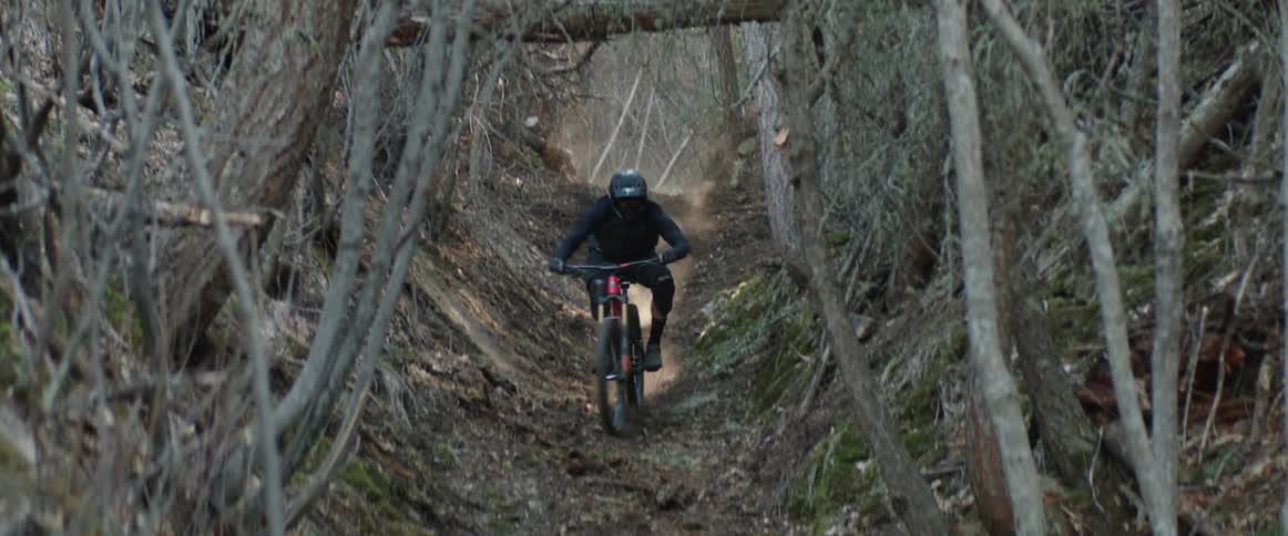 A person mountain bikes through a forest kicking up dirt in morning sun