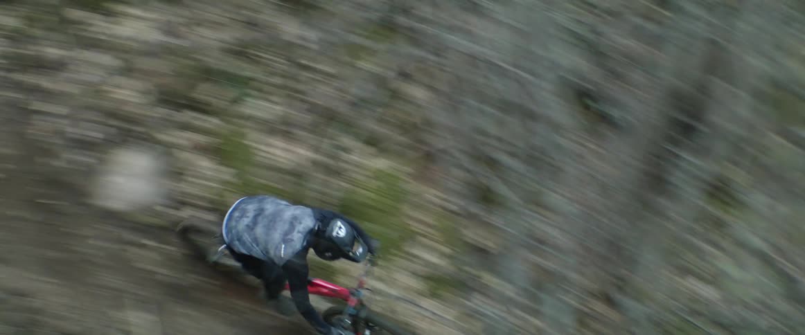 A person with a helmet riding a bike in a forest with trees