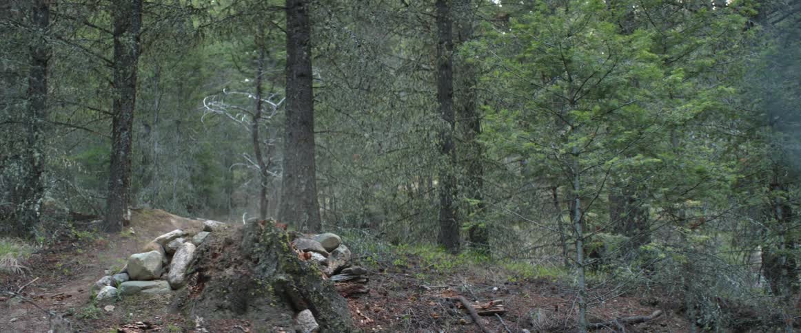 A mountain bike athlete jumps through forest trails