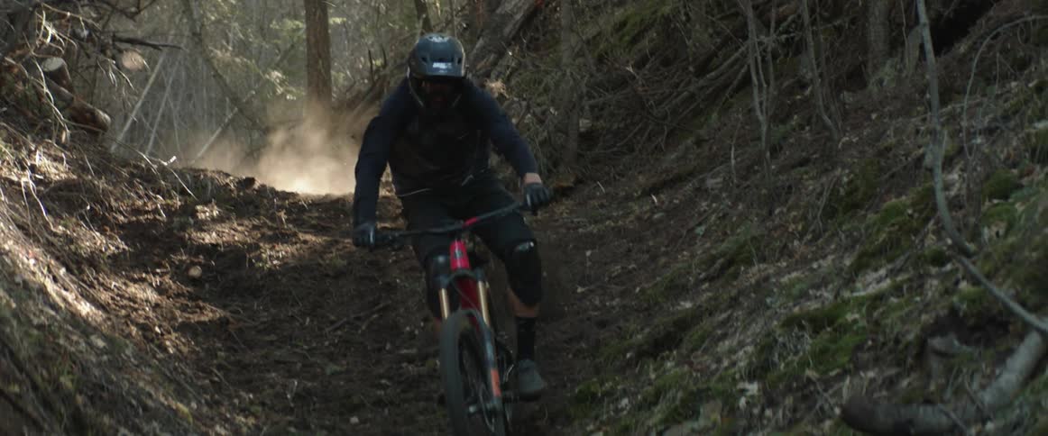 Cyclist rides a mountain bicycle on a dirt path through the forest at morning