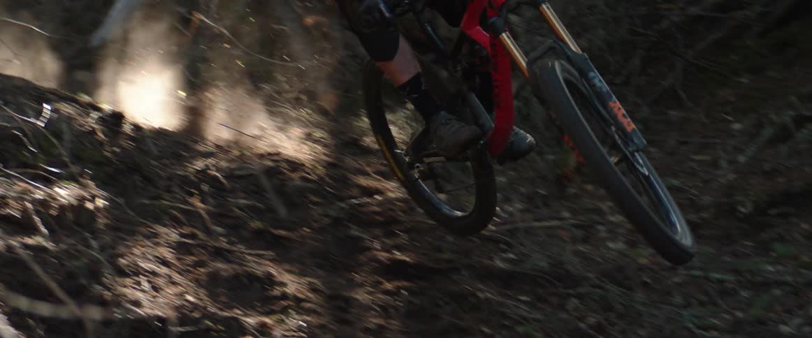 A person bikes through a forest kicking up dirt