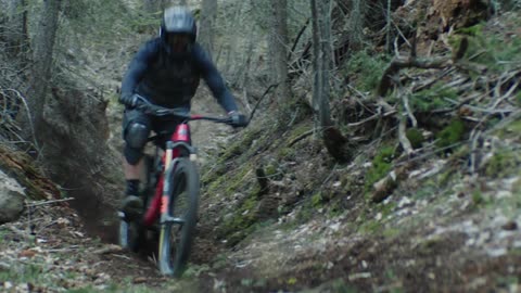 A person with a helmet racing a mountain bike in a forest ravine with trees