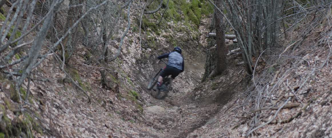 A man is riding a bike through a forest and hitting fast corners