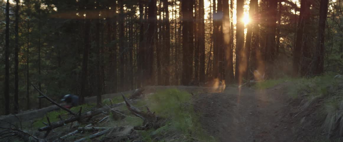 A person with a helmet riding a bike in a dusty forest at sunset
