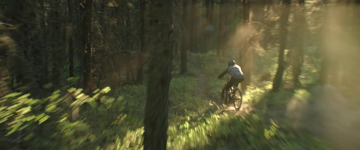 A mountain biker rides a bicycle at high speed along a narrow dusty trail in a forest during sunset