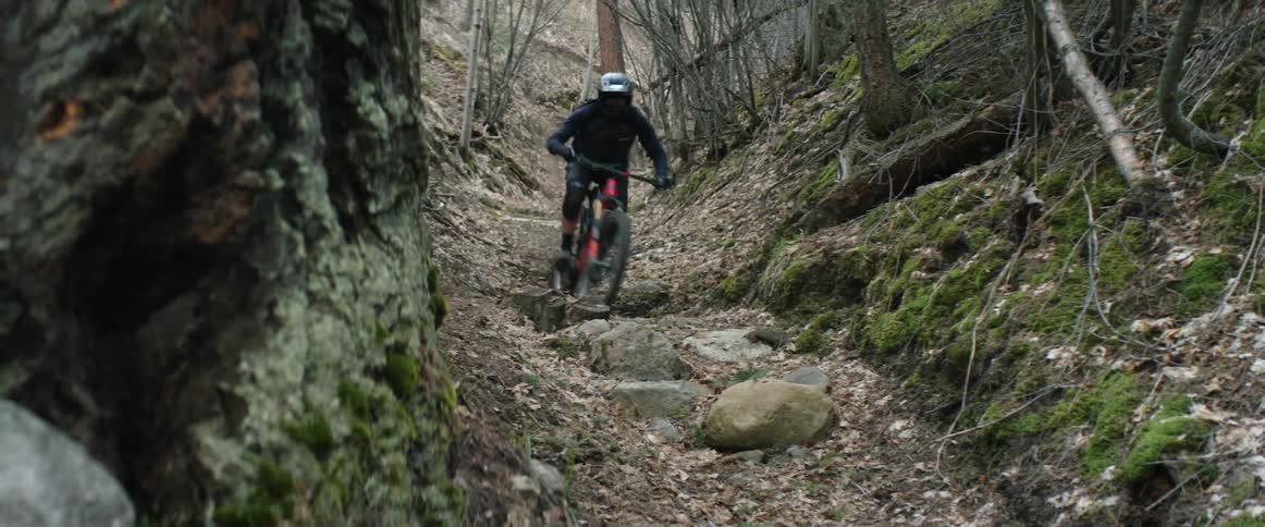 A mountain biker with a helmet riding a bike and jumping in a forest with trees