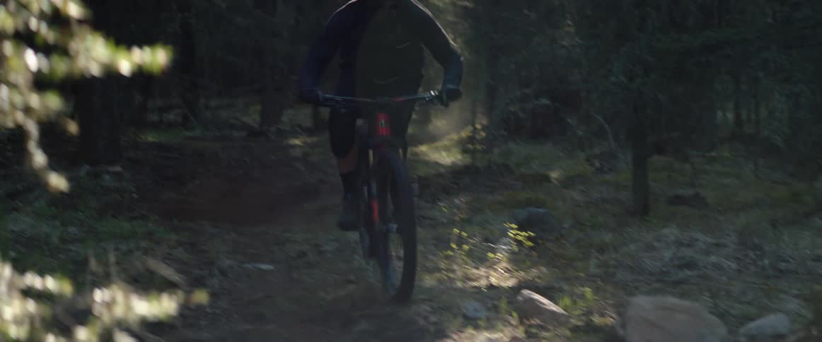 A bike rider kicks up dirt as he rides around corners and jumps over small hills in a forest