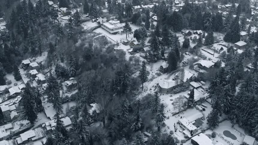 Snow covers the ground and rooftops in a suburban Seattle neighborhood filled with tall trees