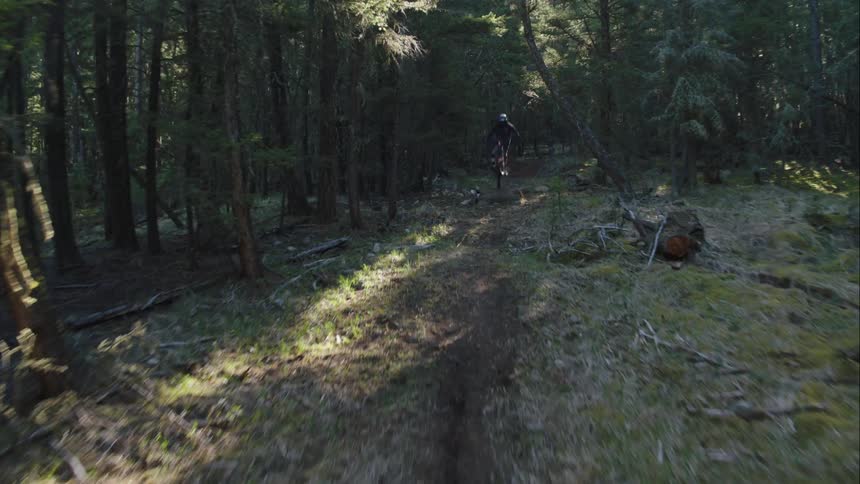 A person jumping a mountain bike on a trail towards camera