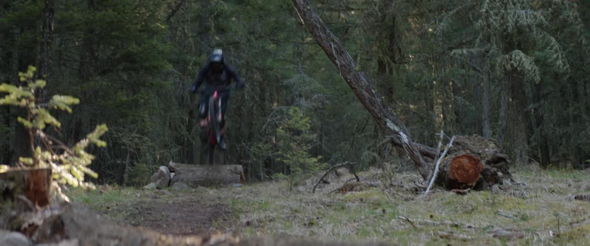 A person jumping a bicycle on a trail in the forest