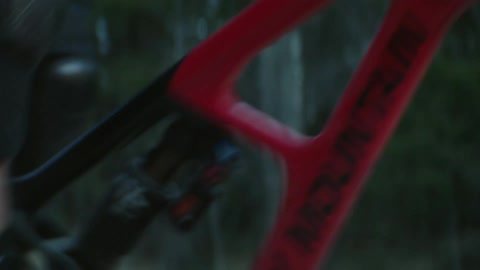 A cyclist pedals a bicycle at high speed while traveling through a woodland