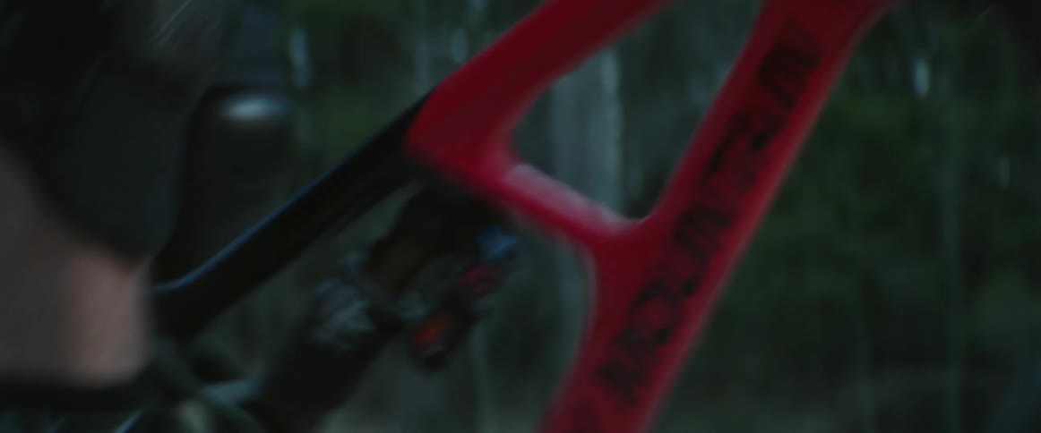 A cyclist pedals a bicycle at high speed while traveling through a woodland