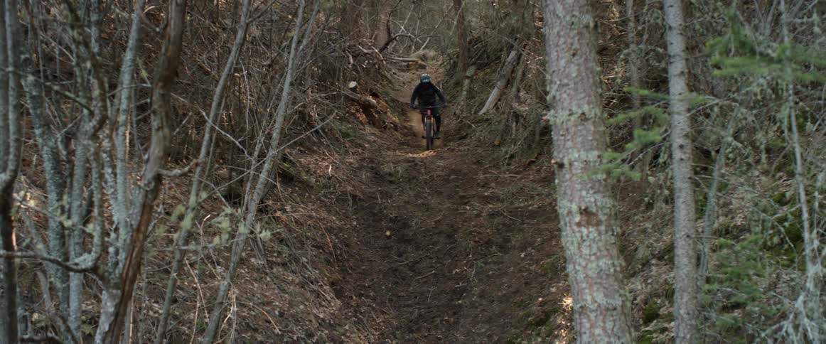 A biker biking quickly on a trail in woods