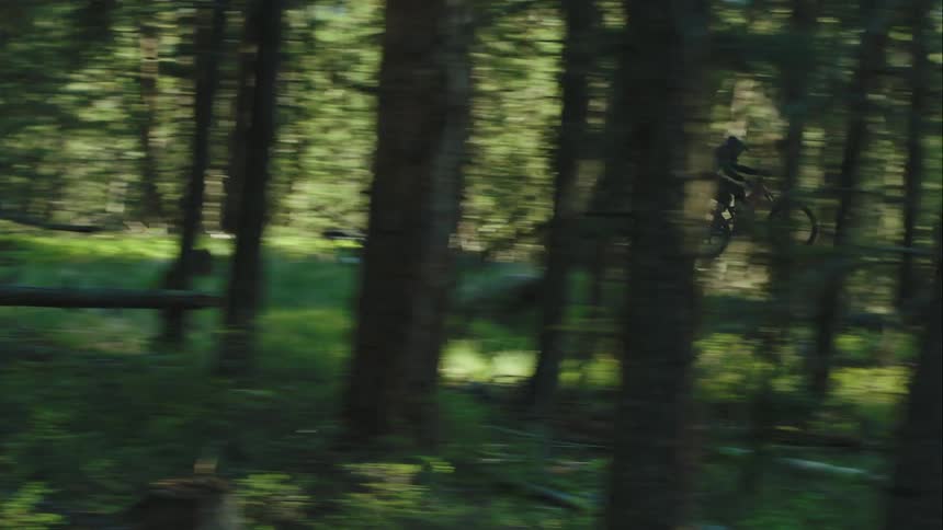 Cyclist rides through green forest taking jump before riding up slope