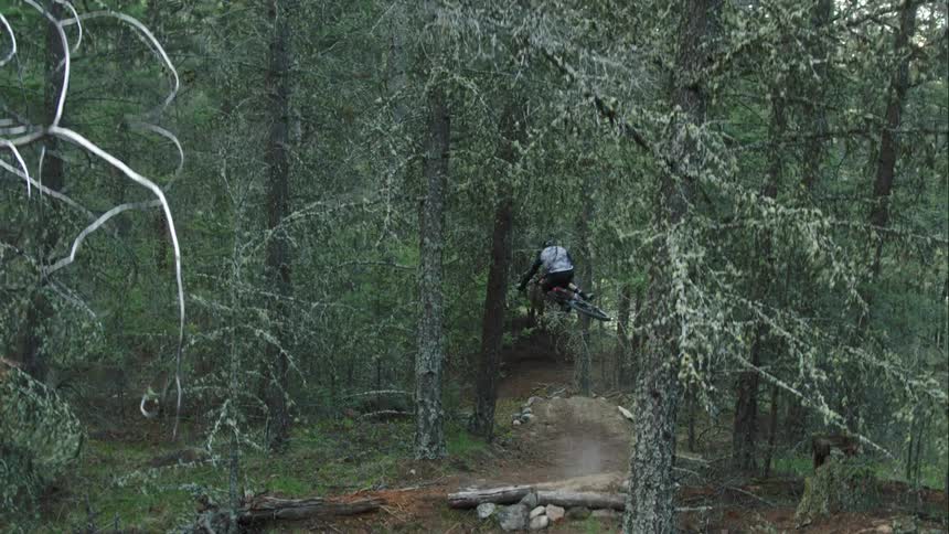 A man on a mountain bike jumping on a trail through trees and overhanging branches