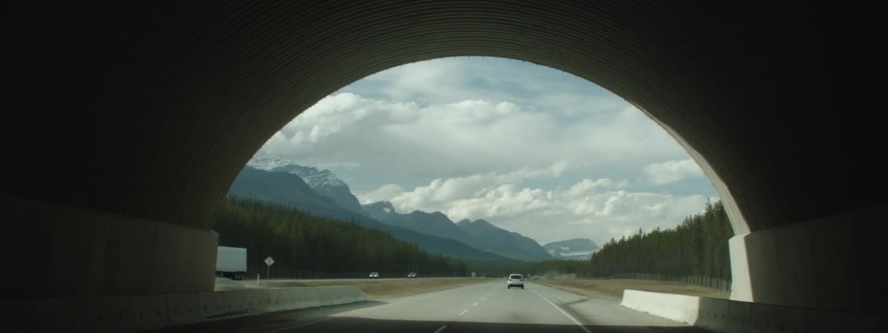 Roademerges from tunnel passing between conifer forests leading toward mountains