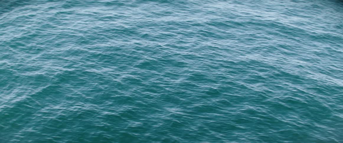 An aerial view of a lake