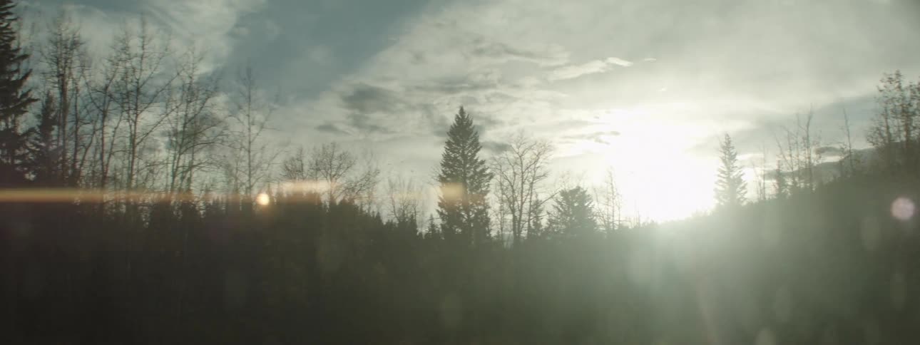 A landscape with a silhouette of trees with the sky and clouds in the background