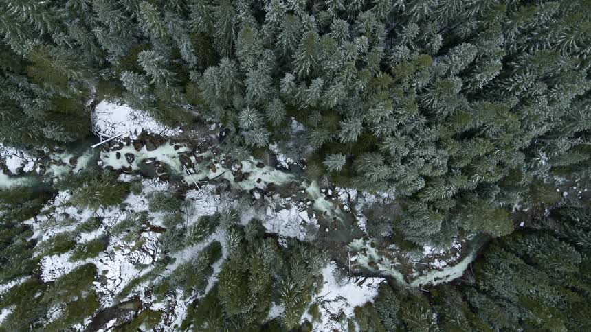 An overhead aerial view of a winding river flowing through a frost covered forest