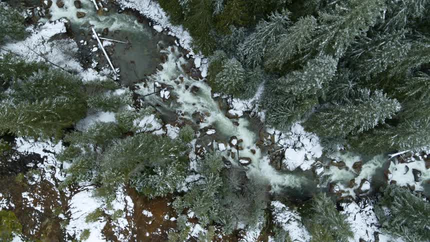 Top down traverse over icy river water flowing between snow covered rocks in a frosty evergreen forest