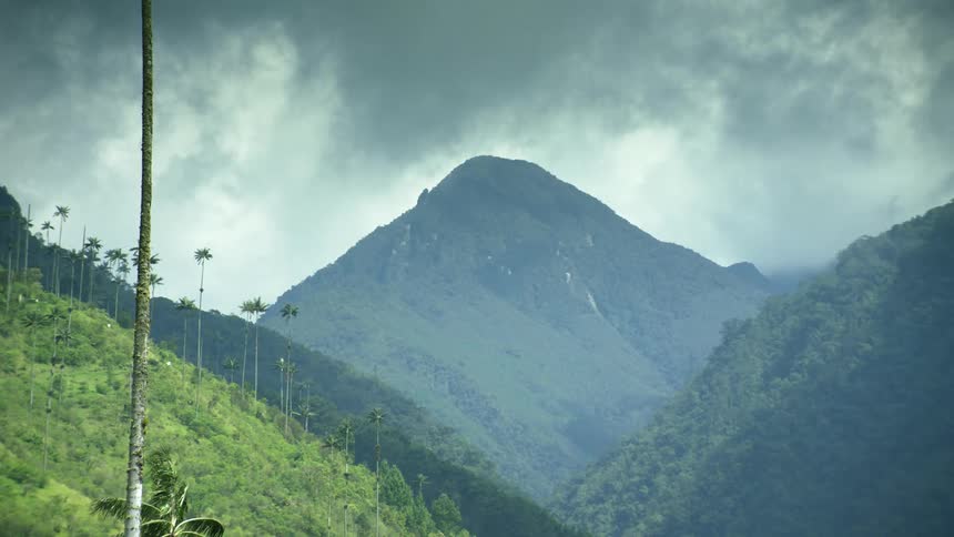 Aerial view of mountains covered in trees is displayed