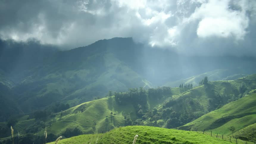 Plants move in the breeze on a grass covered hillside with mountains in the distance under a cloudy sky