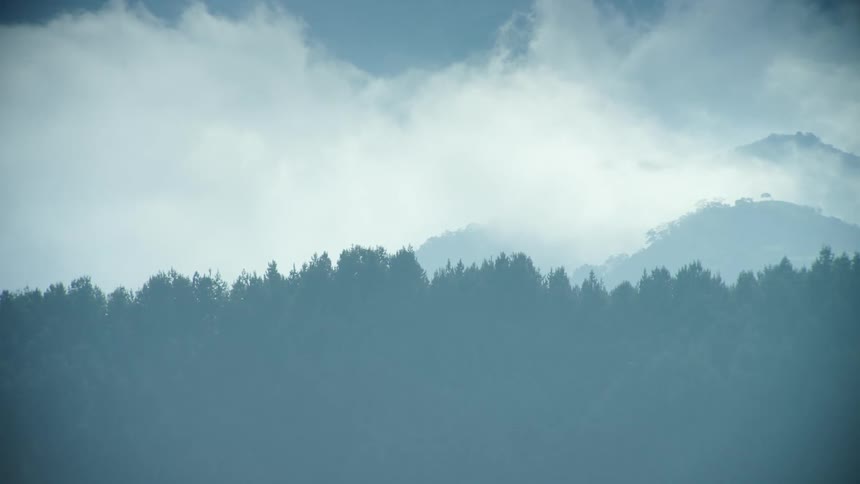 Mountain forest under a hazy cloud filled sky