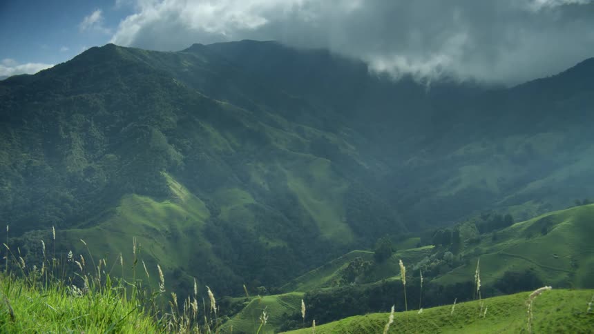 Plants move in the breeze on a grass covered hillside with mountains in the distance under a cloudy sky