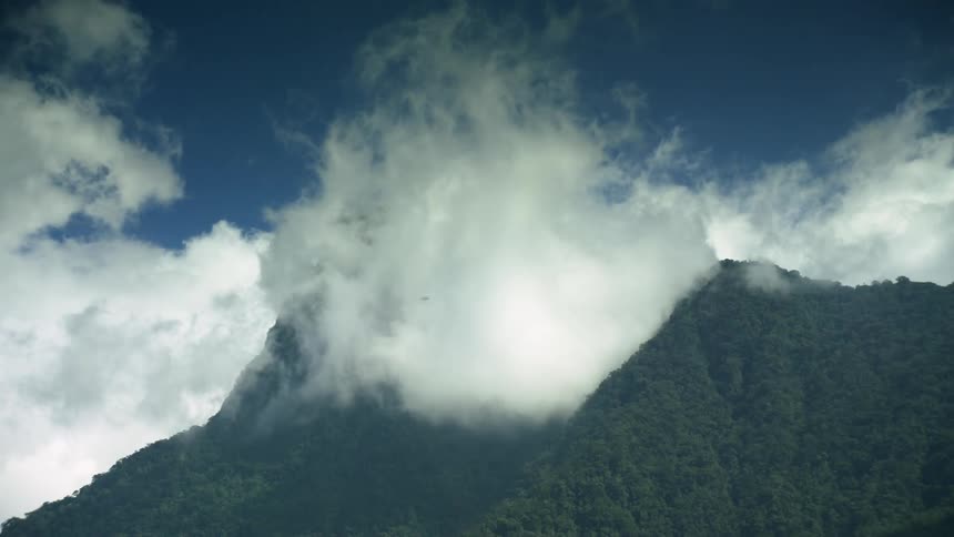 Mountain forest under a cloudy sky and peak in the clouds