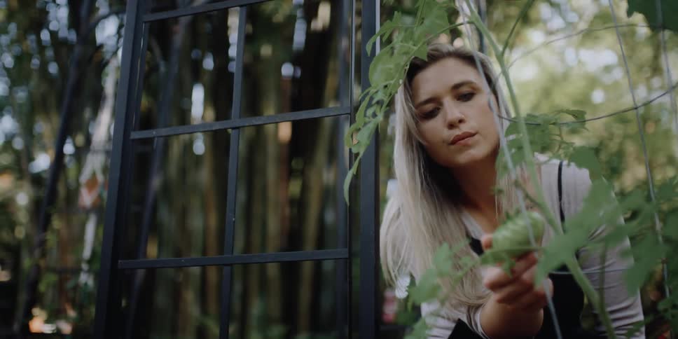 A woman outside bends down and looks at a green tomato on a plant