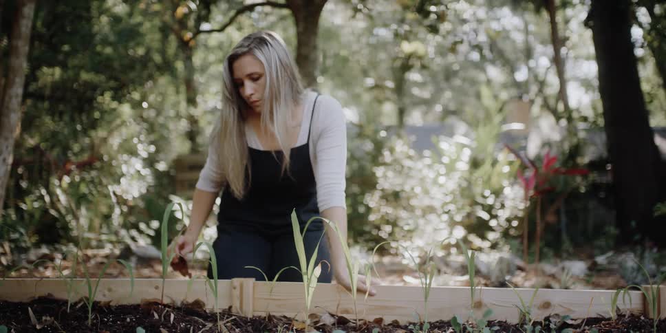 A gardener removes dead leaves from a planter before smoothing the soil with her hand