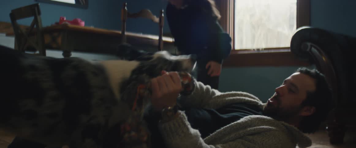 A man plays with his dog on the living room floor