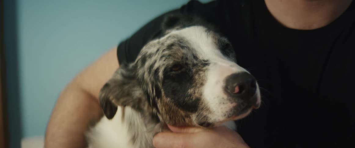 A man pets his white and brown dog while talking to someone in his living room