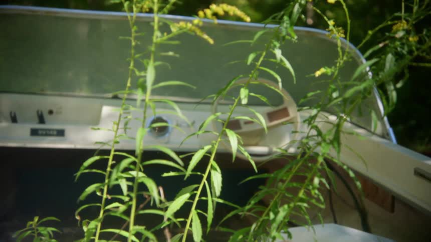 A boat on a trailer near tall vegetation outdoors during the day