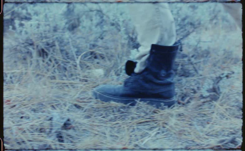 A man is walking through the grass