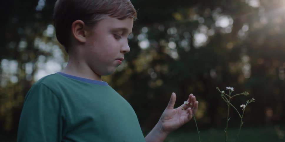 Boy touching small wildflowers in the countryside at sunset
