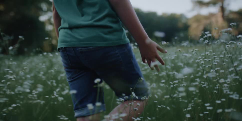 A person walks through a field of tall grass while allowing their open hands to touch the tall stalks as they pass