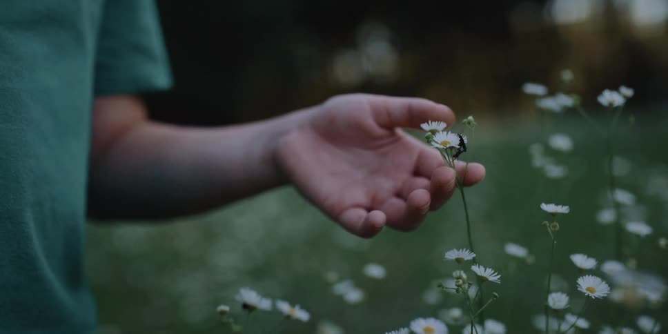 A person reaching for a flower with a bug on it