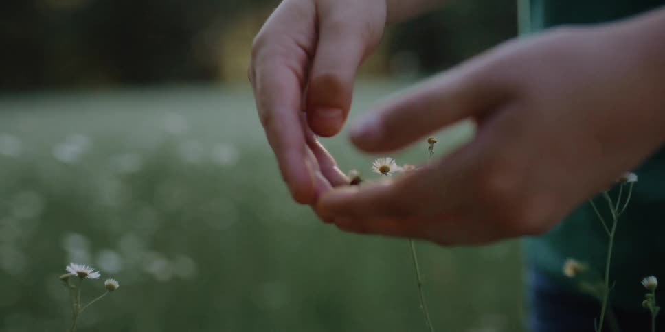 A man tries to pick up a fly resting on a small white flower in a field