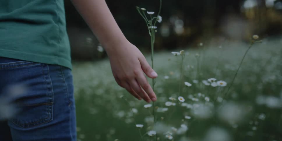 Boy with a green t shirt and shorts walks in the field with flowers