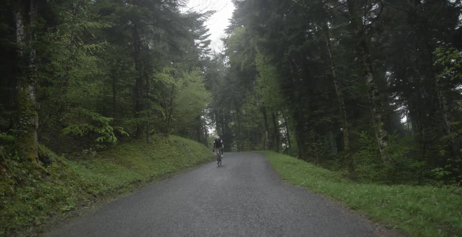 A man is riding his bike down a trail near the woods