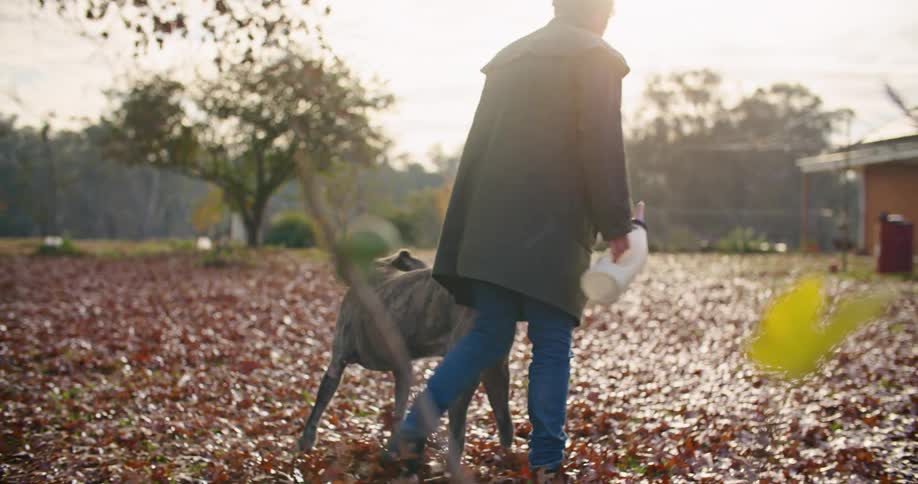Happy dog welcomes owner near a house in the countryside