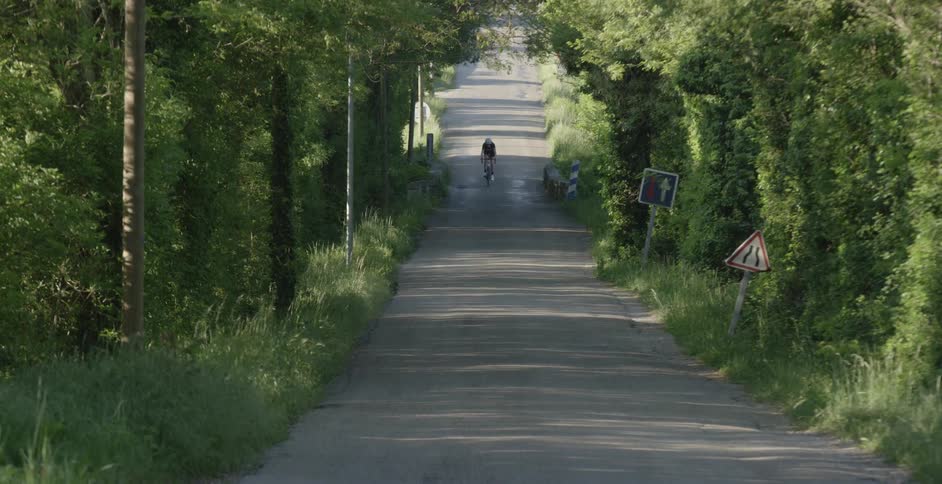 Lone bicyclist riding down a paved area with trees to both sides