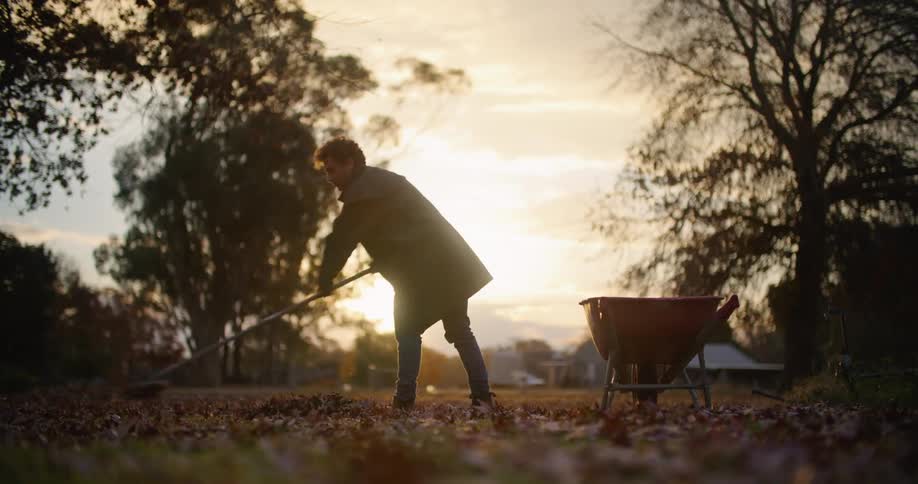 In a rural area framed by trees a warmly dressed man rakes the thick pile of leaves carpeting the ground while the sun sits low in the distance behind him