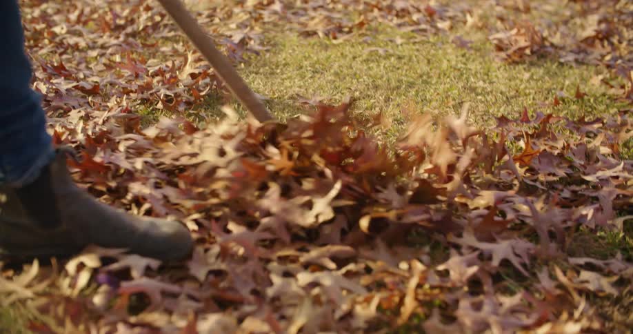 Somebody wearing blue jeans and boots is raking leaves
